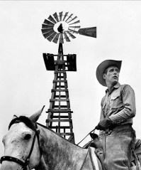 romance, romance novel, romantic novel, cowboy, writing