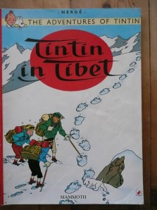 tintin, novels, books, reading, snowy, snow, winter, wintry