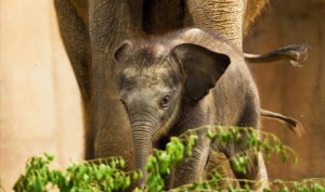 julie lynn hayes, m/m romance, romance novels, romantic novels