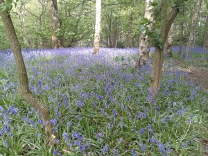 plumpton rocks, helena fairfax