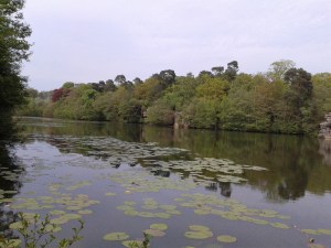 helena fairfax, plumpton rocks