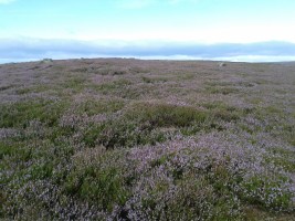 helena fairfax, yorkshire moors