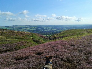 helena fairfax, yorkshire moors