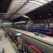 helena fairfax, exeter novel prize