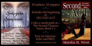 marsha west banner 1