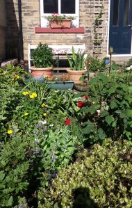 helena fairfax, writer, editor