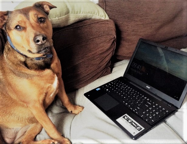 helena fairfax, freelance editor