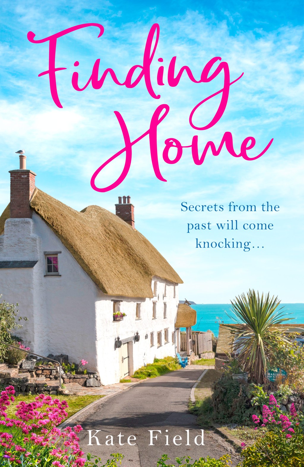 Good to meet you…Kate Field, author of Finding&nbsp;Home