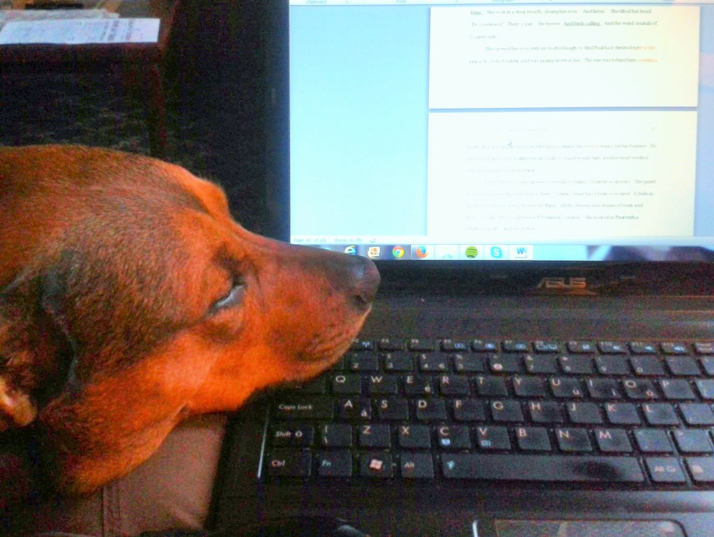 Helena fairfax, freelance romance editor, yorkshire