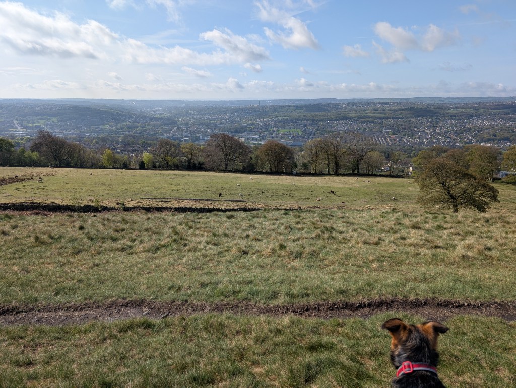 bradford, books set in yorkshire, helena fairfax